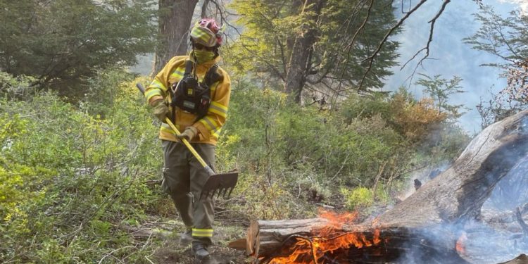 Veinte brigadistas santafesinos llegaron a Neuquén para reemplazar a sus compañeros en el combate de incendios.