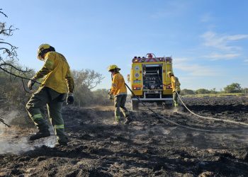 Brigadistas lograron apagar los incendios en Cacique Ariacaiquín.