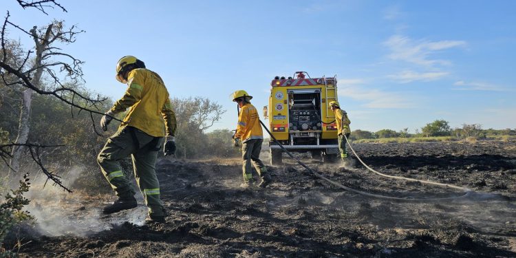 Brigadistas lograron apagar los incendios en Cacique Ariacaiquín.