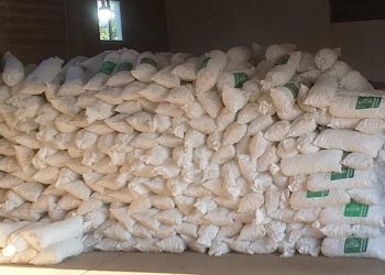 Villa Ocampo: Cotelvo importante inversión en la planta de agua potable.