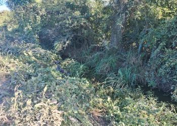 Malabrigo: Un vecino de la zona rural, perdió el control de su motocicleta debido a la polvareda, y terminó en la cuenta.