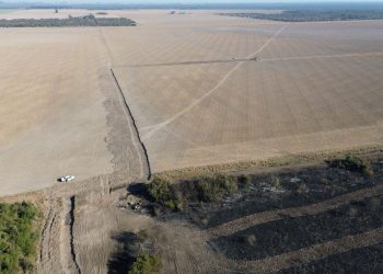 Provincia interviene en más de 350 casos de obras clandestinas.
