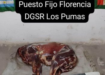 Florencia: “Hombre detenido por abigeato después de denuncia .