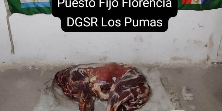 Florencia: “Hombre detenido por abigeato después de denuncia .