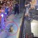  “Detiene fuegos artificiales en concierto por un perrito callejero: Un gesto que nos recuerda la importancia de cuidar y proteger a nuestros amigos peludos”.