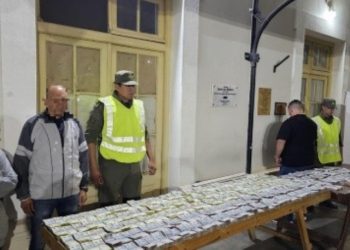 Gendarmería Nacional Secuestra Más de 350 Millones de Pesos en Ruta Nacional Nº11.