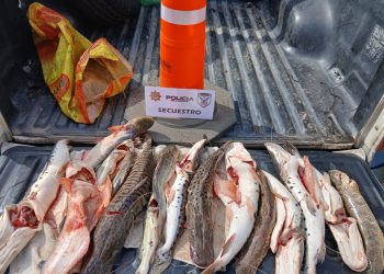 Incautación de Pescado y Motocicleta en Las Toscas.