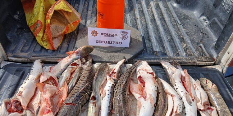 Incautación de Pescado y Motocicleta en Las Toscas.