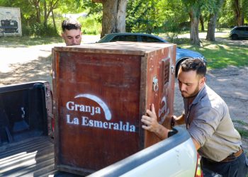 Cómo es el trabajo de los especialistas de Provincia en La Esmeralda para salvar animales silvestres.