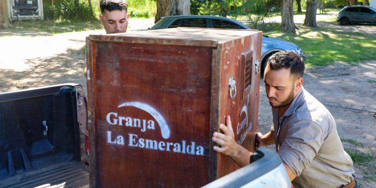 Cómo es el trabajo de los especialistas de Provincia en La Esmeralda para salvar animales silvestres.