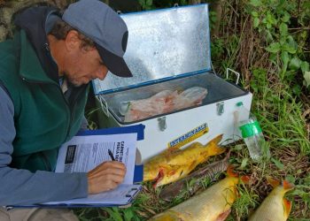 Provincia refuerza los controles pesqueros durante Semana Santa.