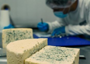 Santa Fe ya tiene la Ruta del Queso Azul, un producto de exportación.