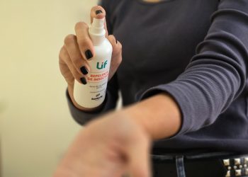 Dengue: Provincia reitera las recomendaciones para viajeros por el fin de semana largo.