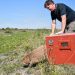 Biodiversidad: Provincia liberó fauna silvestre rehabilitada en el norte santafesino.