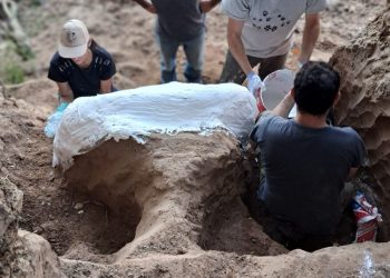 Provincia realizó un importante rescate paleontológico en el arroyo Pavón.