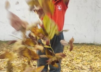 VILLA OCAMPO: 2º CONCURSO DE FOTOGRAFÍA DIGITAL “OTOÑO OCAMPENSE”.