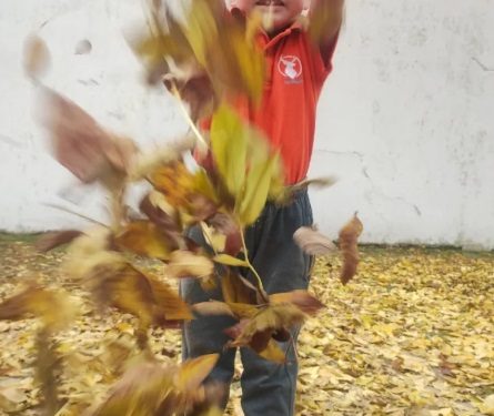 VILLA OCAMPO: 2º CONCURSO DE FOTOGRAFÍA DIGITAL “OTOÑO OCAMPENSE”.