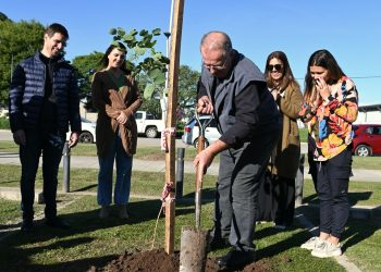 Santa Fe homenajea a 1.300 donantes de órganos con la plantación de árboles en todo el territorio provincial.