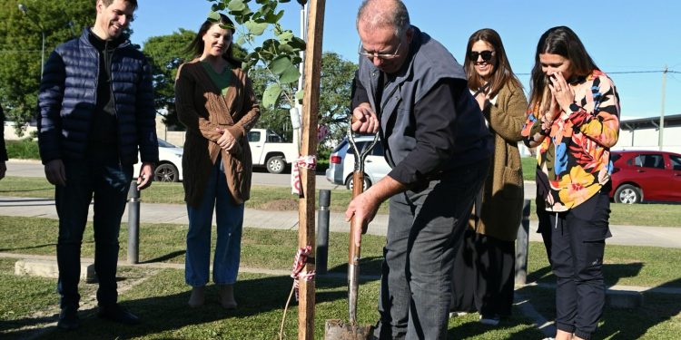 Santa Fe homenajea a 1.300 donantes de órganos con la plantación de árboles en todo el territorio provincial.