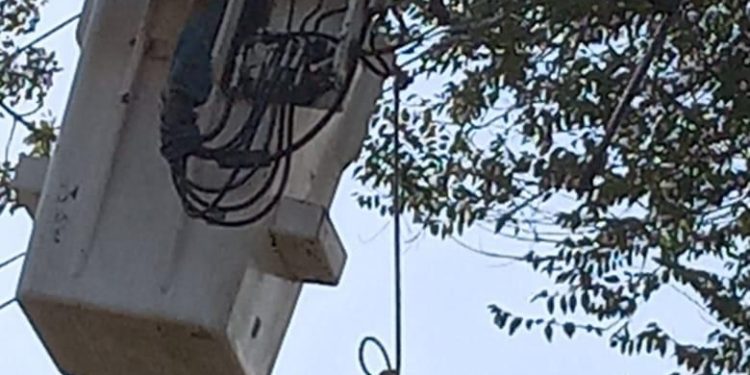 EPE trabaja para reponer el servicio en distintas zonas de la provincia afectadas por el intenso temporal.