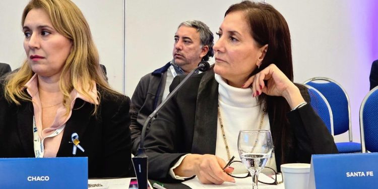 Santa Fe propone que el Aeropuerto Internacional de Sauce Viejo como alternativa a Rosario durante la remodelación de la pista.