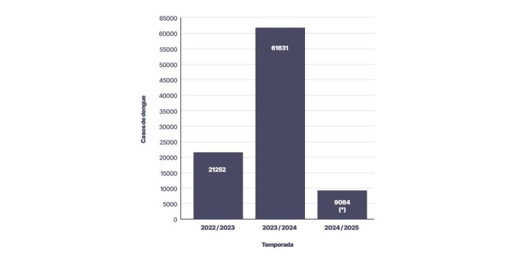 Dengue: con una estrategia integral en toda la provincia, Santa Fe registra un 85 % menos de casos.