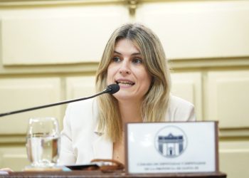 Mancini solicita auditorías más accesibles para personas con discapacidad.