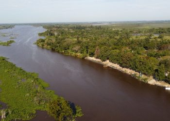 La Provincia avanza en la protección de sus humedales.