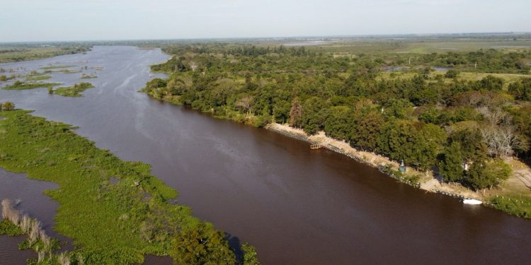 La Provincia avanza en la protección de sus humedales.