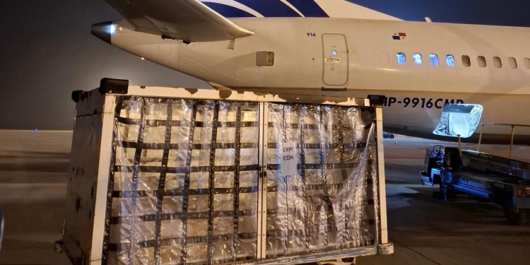 Desde Rosario ya se exporta carne y pescado por vía aérea: un hito logístico que posiciona al aeropuerto como plataforma internacional.