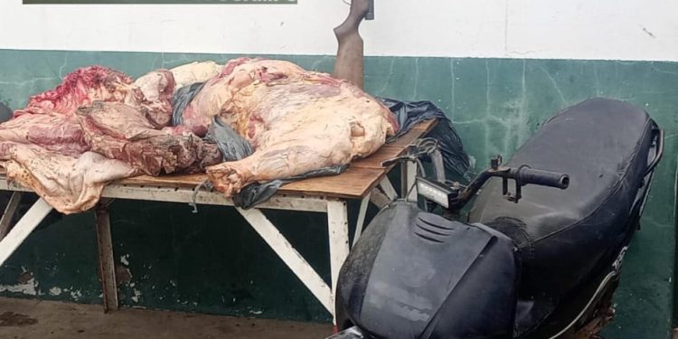 DGSR “Los Pumas” Villa Ocampo, esclarecieron un hecho de Abigeato.