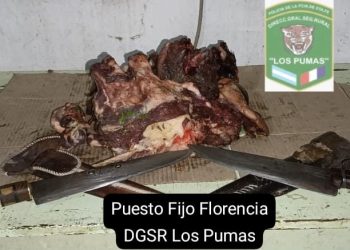 Efectivos rurales de Puesto Fijo Florencia, esclarecieron un Hecho de Abigeato.
