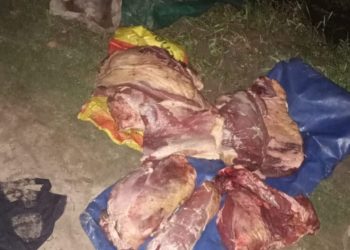 “Los Pumas “de la Sección N° 9 Villa Ocampo, esclarecen un Hecho de Robo Calificado.