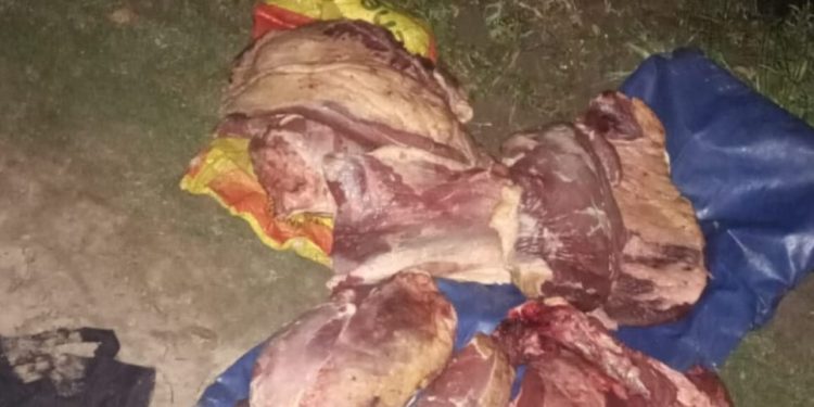 “Los Pumas “de la Sección N° 9 Villa Ocampo, esclarecen un Hecho de Robo Calificado.