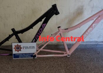 Avellaneda: Aprehendido por hurto calificado: su madre devolvió los elementos sustraídos.