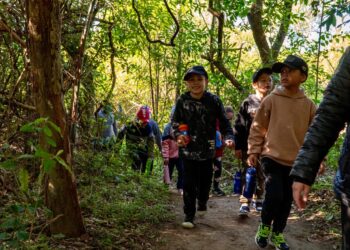 Villa Ocampo: VISITA A LA RESERVA NATURAL MUNICIPAL “EL PINDÓ”.