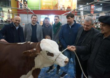 Santa Fe mostrará su potencia productiva, tecnológica y gastronómica en la Expo Rural de Palermo.