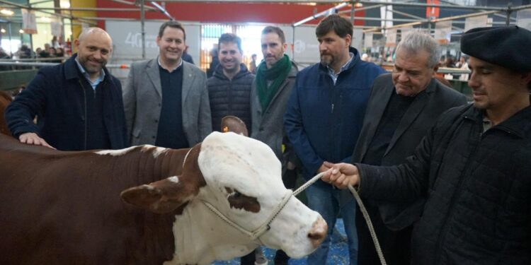 Santa Fe mostrará su potencia productiva, tecnológica y gastronómica en la Expo Rural de Palermo.
