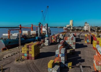 Puertos santafesinos en alza: en el primer semestre se movieron 110.000 toneladas y 10.000 contenedores más que en 2024.