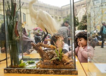 Vacaciones de invierno: más de 600 mil personas disfrutaron de diferentes propuestas en la provincia de Santa Fe.