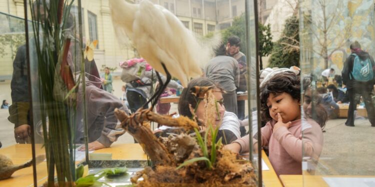 Vacaciones de invierno: más de 600 mil personas disfrutaron de diferentes propuestas en la provincia de Santa Fe.