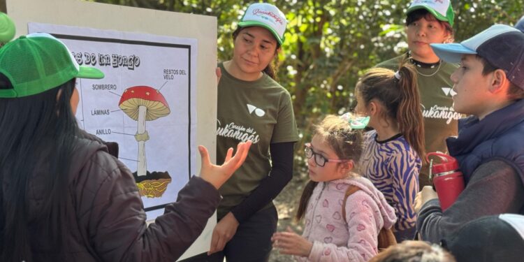 VILLA OCAMPO: MINI EXPLORADORES DE HONGOS EN “EL PINDÓ”.