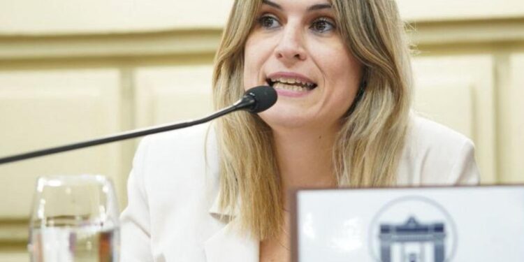 Mancini: “Desde el PS trabajamos para la Constitución del futuro”.