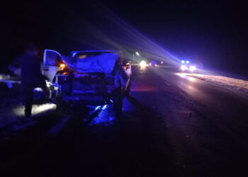 EL SOMBRERITO: Impacto con animal suelto sobre Ruta 11: solo daños materiales.