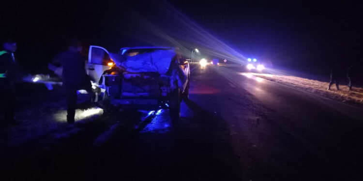 EL SOMBRERITO: Impacto con animal suelto sobre Ruta 11: solo daños materiales.