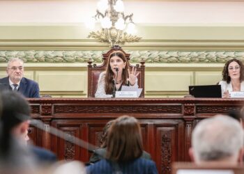 Comisión Funcionamiento del Estado y participación ciudadana: el 4 de agosto se realizará una audiencia pública.