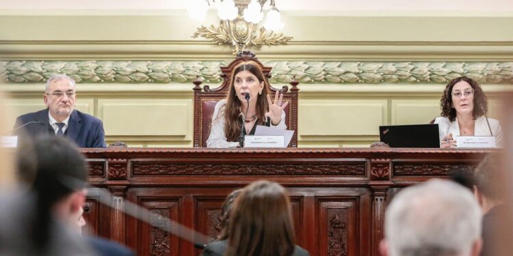 Comisión Funcionamiento del Estado y participación ciudadana: el 4 de agosto se realizará una audiencia pública.