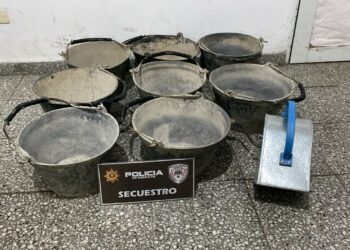 VILLA OCAMPO: APREHENDIDO POR ROBO A SU PROPIA MADRE.