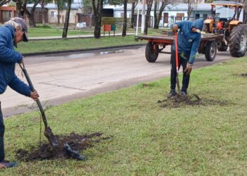 VILLA OCAMPO: PLANTACIÓN DE ÁRBOLES AUTÓCTONOS.