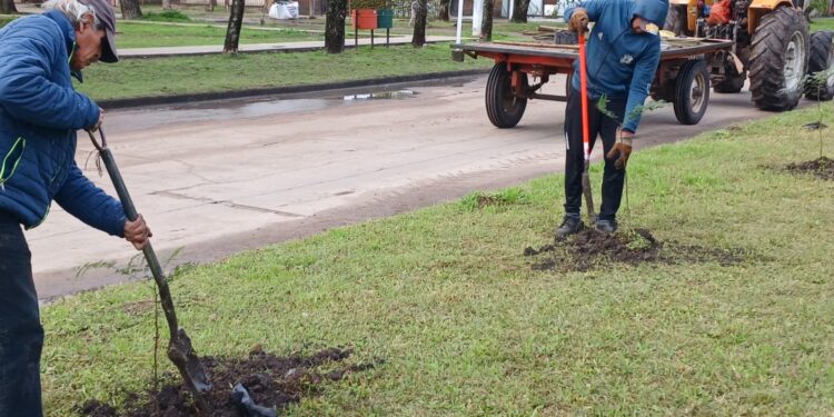 VILLA OCAMPO: PLANTACIÓN DE ÁRBOLES AUTÓCTONOS.